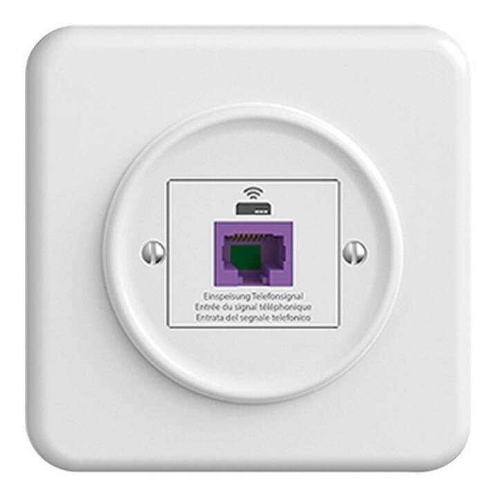 Rückführungsdose STANDARDdue UP