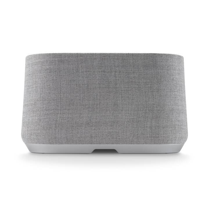 HARMAN / KARDON Citation 300 Lautsprecher (Grau HARMAN / KARDON Citation 300 Lautsprecher (Grau
