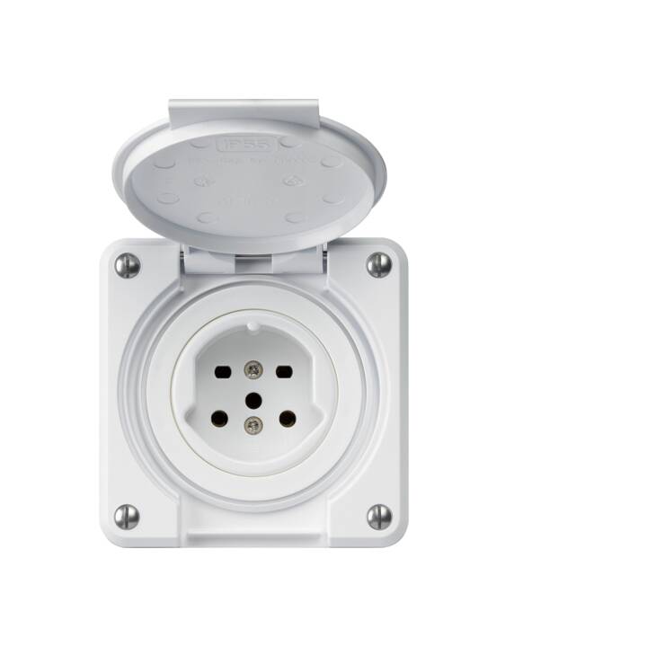 Dosen/Schalter (1 Stück)