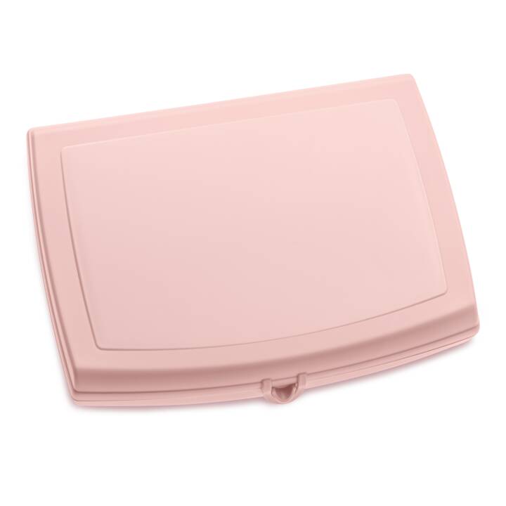 Lunchbox Panorama (Kunststoff)