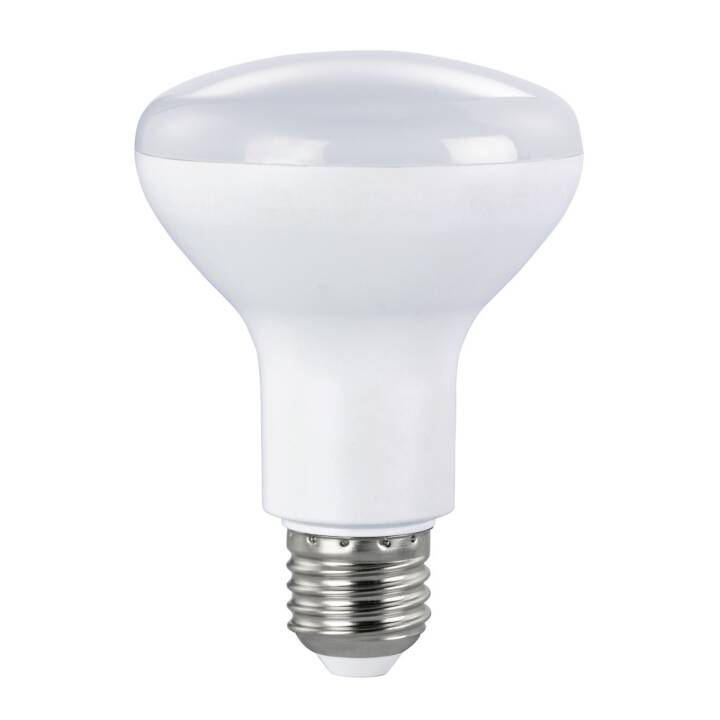 LED Birne (E27, 10 W)