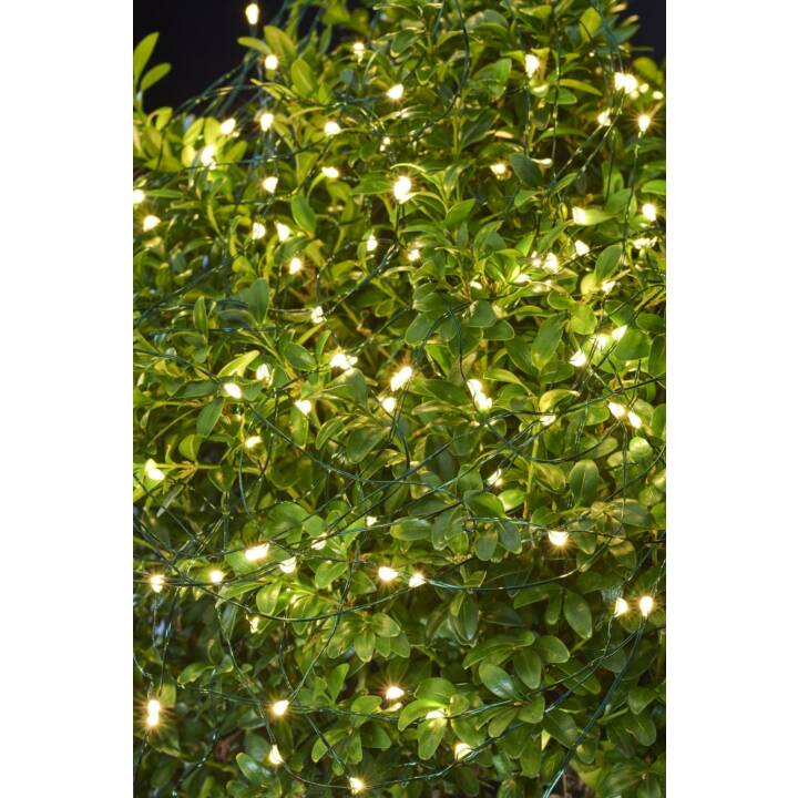 LED Lichterkette (8 m)