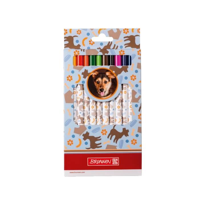 Dicke Buntstifte Hund