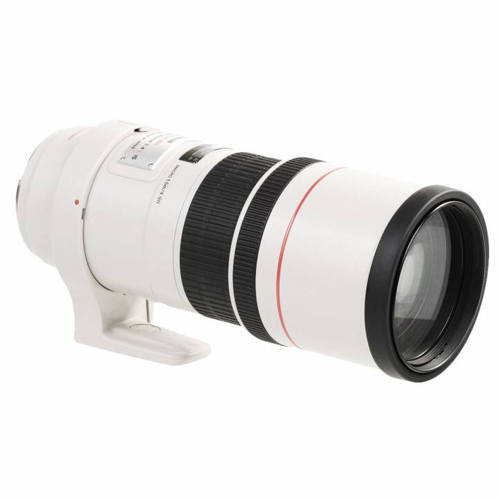 EF 300 mm f/4.0 L IS