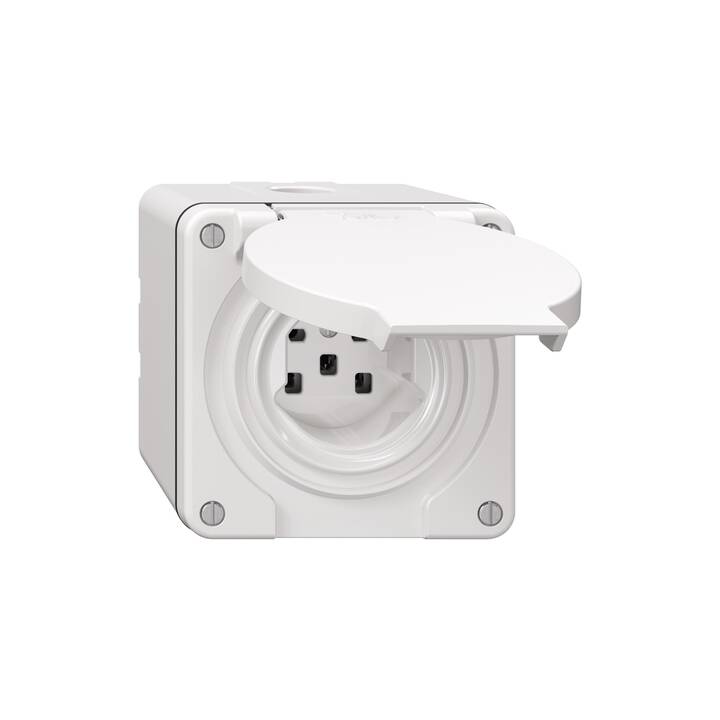 Dosen/Schalter Nevo (1 Stück)