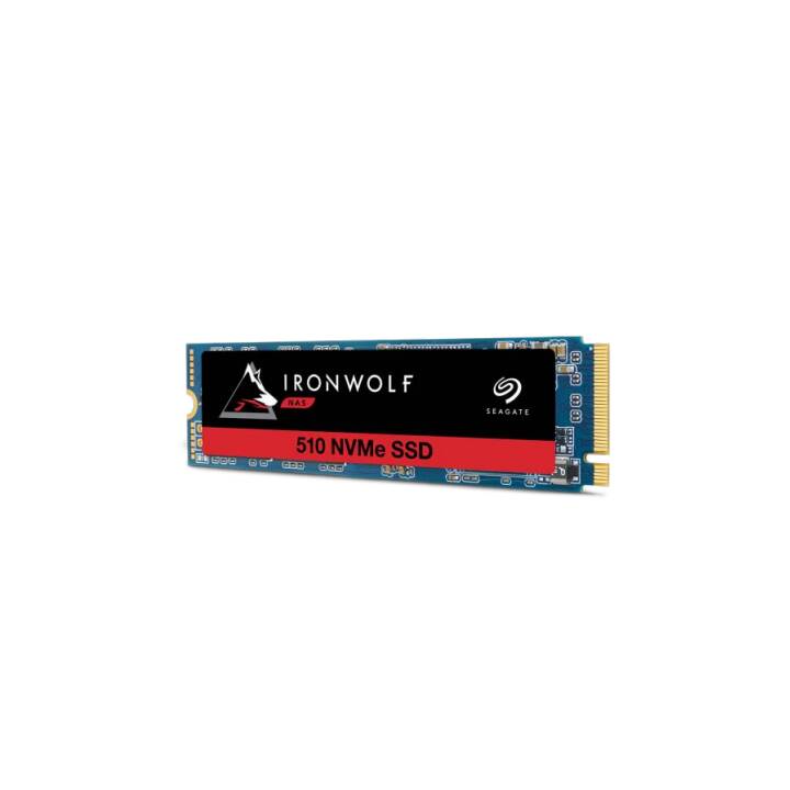 IronWolf 510 (PCI Express, 960 GB)