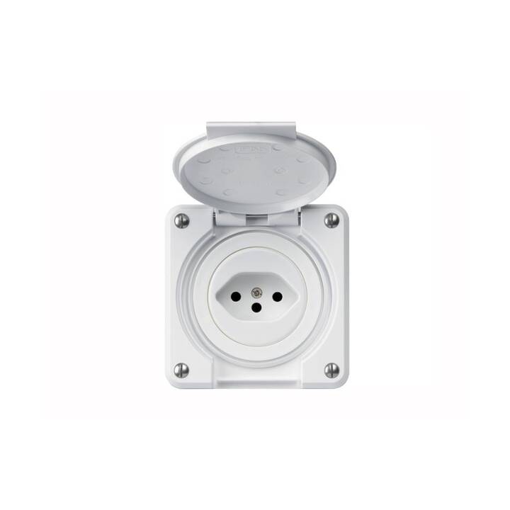 Dosen/Schalter Robusto (1 Stück)