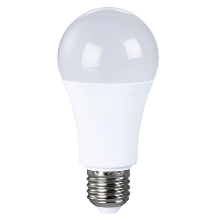 LED Birne (E27, 10 W)