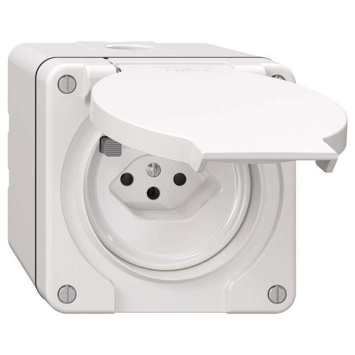 Dosen/Schalter Nevo T13 (1 Stück)