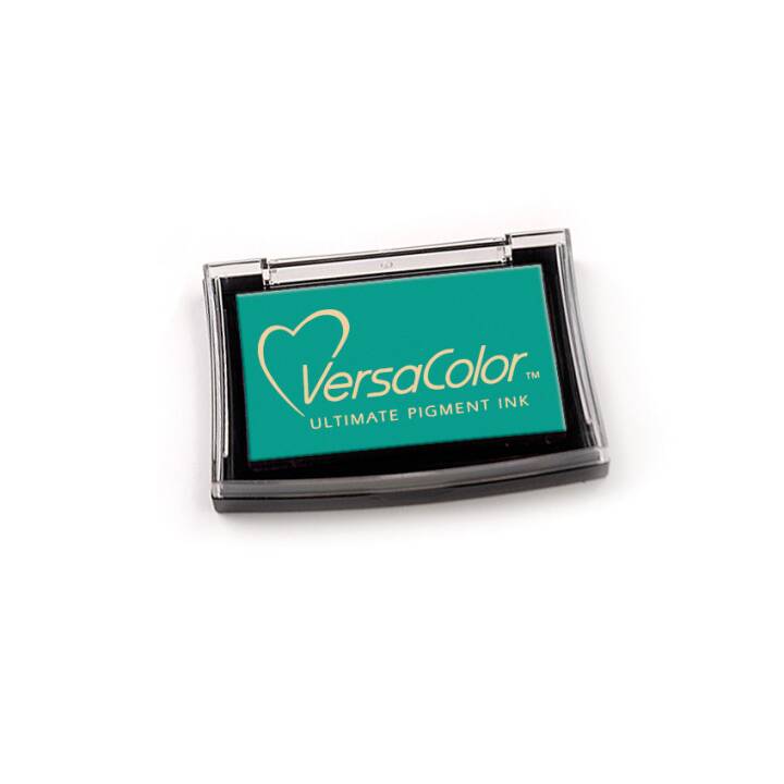 KNORR Pigment 10x6cm türkis