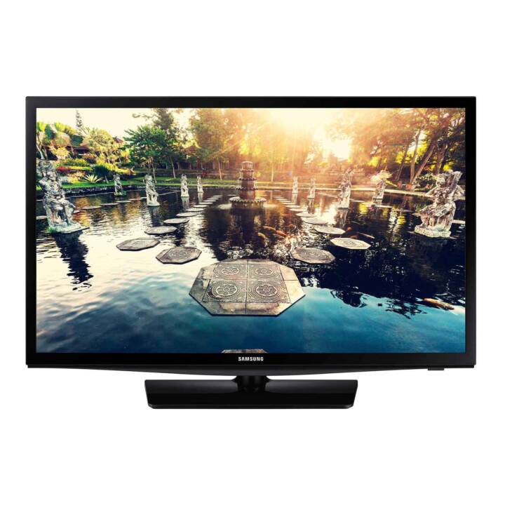 Hotel-TV 24EE690AB (24", LCD - LED-Backlight)