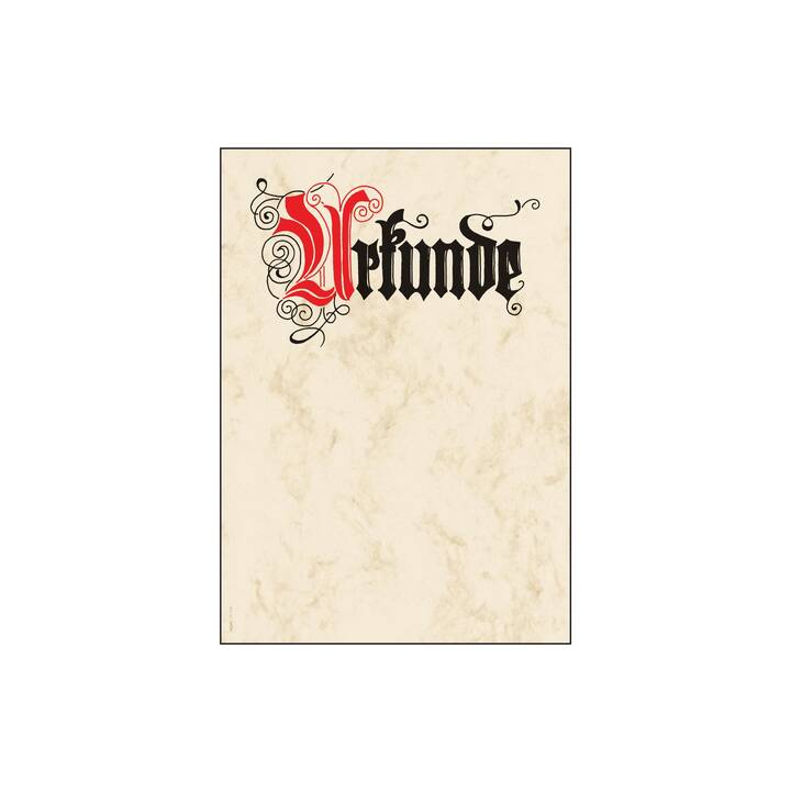 Briefpapier (A4, Champagne)