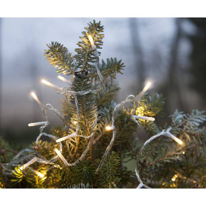 LED-Weihnachtslichterkette Micro, 180 × Lampen