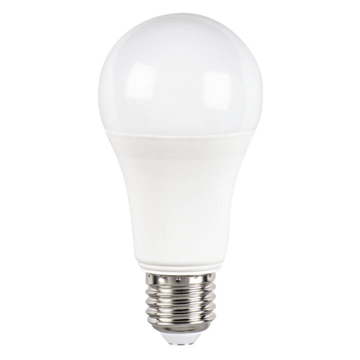 LED Birne (E27, 15 W)