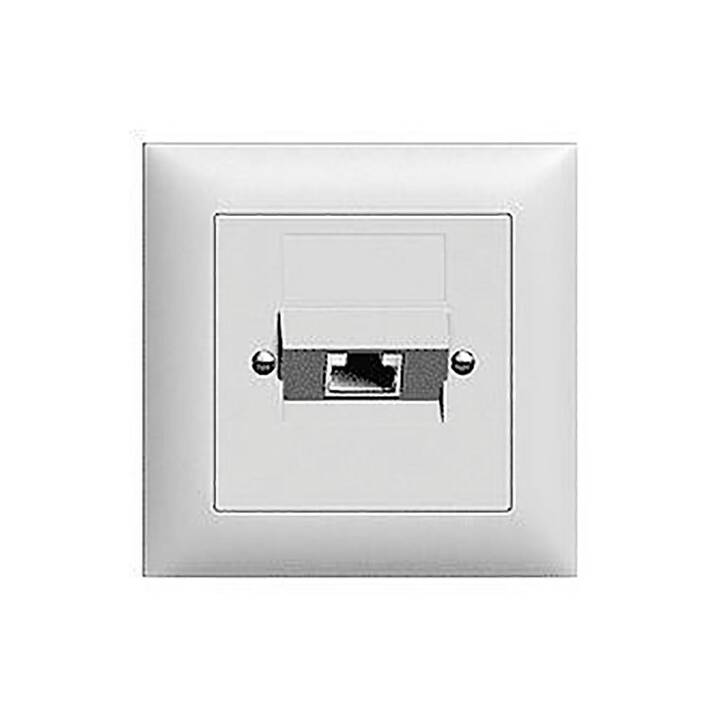 Dosen/Schalter (1 Stück)