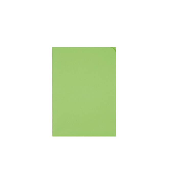 Sichthülle Ordo Discreta A4 intensivgrün,o.Fenster 100Stk.