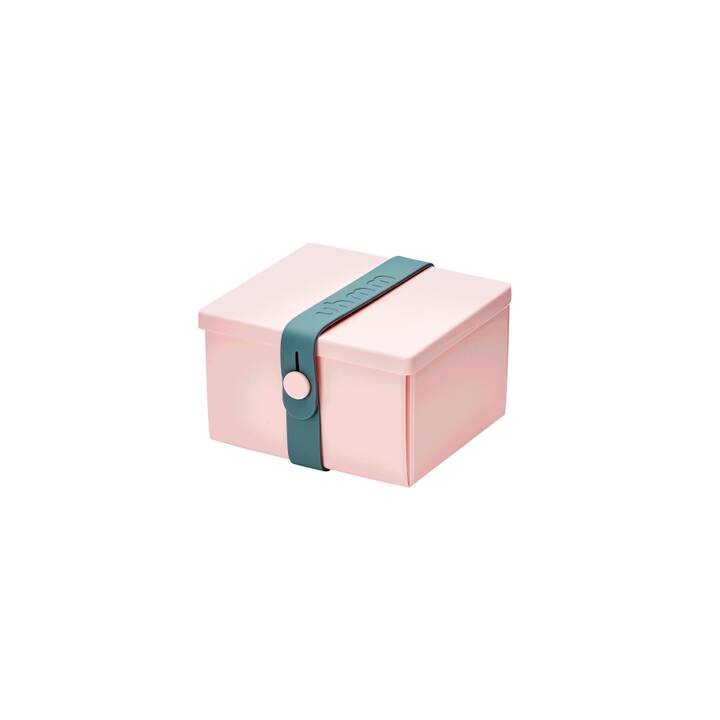 Lunchbox No. 02 Pink Petrol