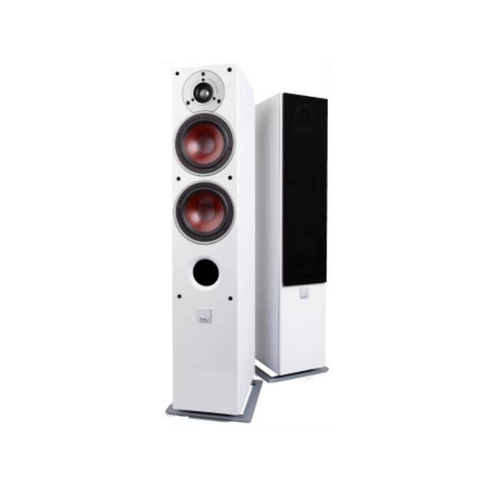 Zensor 5 AX (160 W, Standlautsprecher, Weiss)