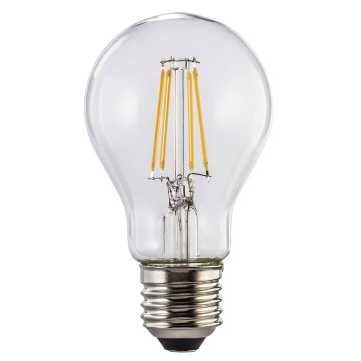 LED Birne (E27, 6 W)