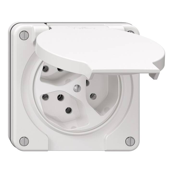 Dosen/Schalter Nevo (1 Stück)