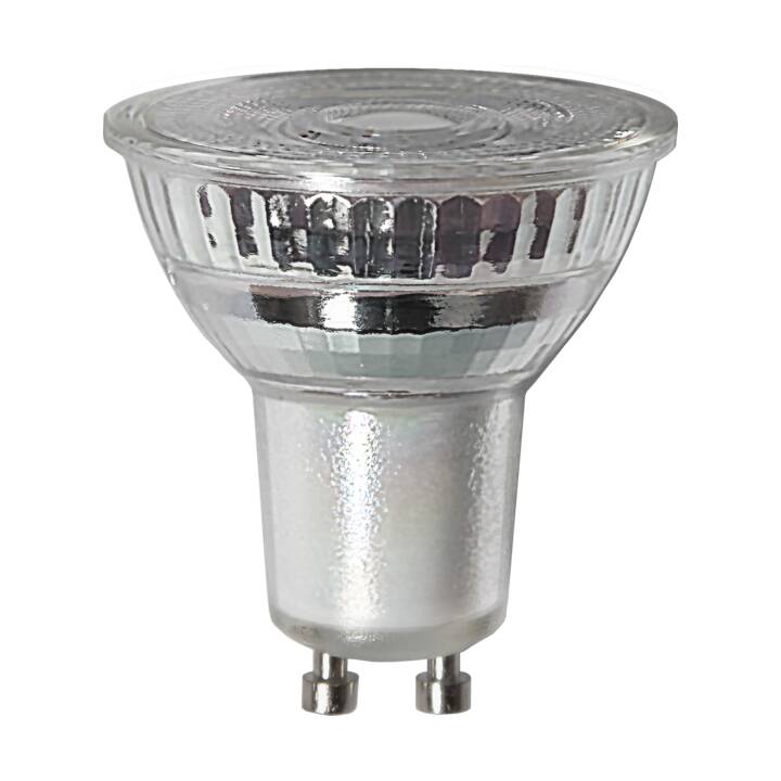 LED Birne MR16 (GU10, 5 W)