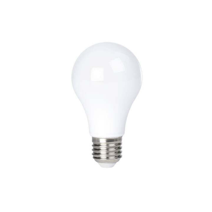 LED Birne (E27, 6 W)