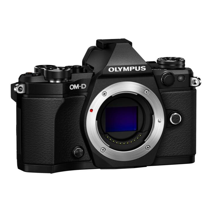 OM-D E-M5 Mark II + M.Zuiko Digital ED, 14 - 42 mm EZ