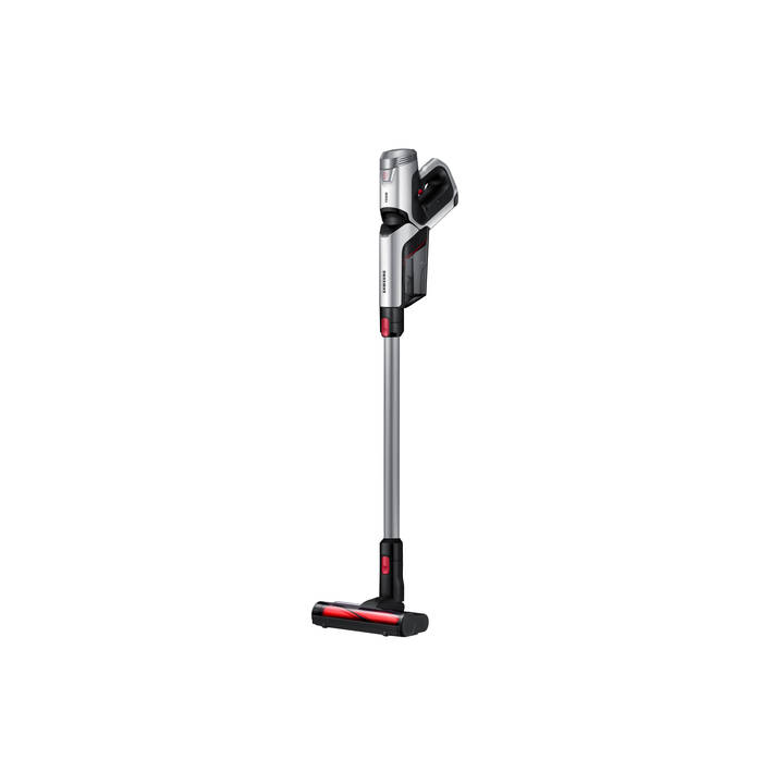 cordless dyson costco