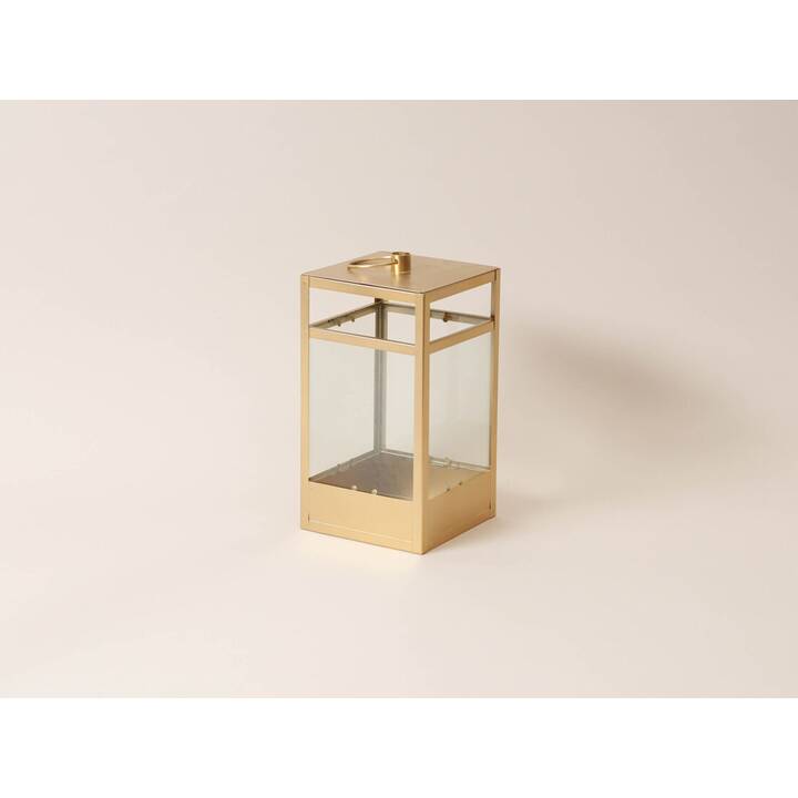 MES150.206.01 Laterne