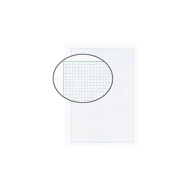 Einlageblatt (A4, Kariert, 100 Stück)