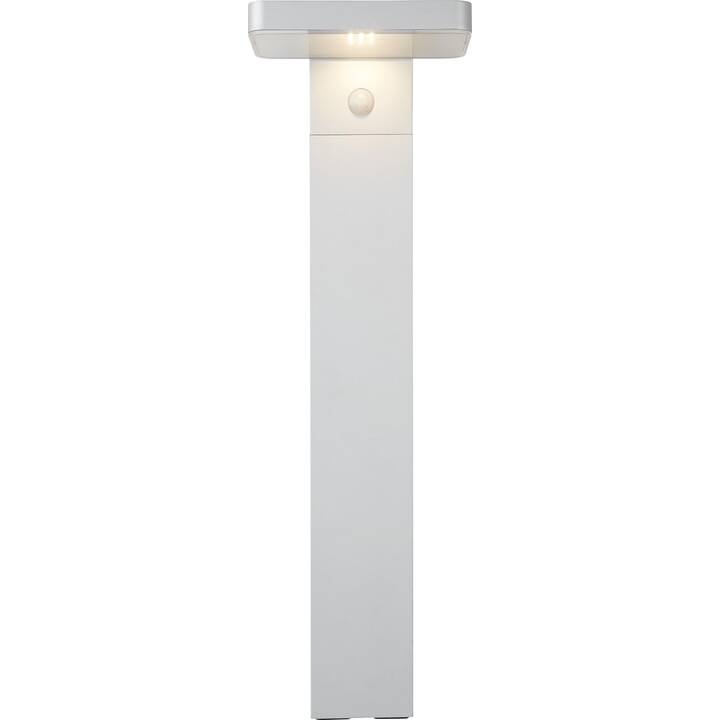 Solar Malta Solarleuchten (LED, Grau)