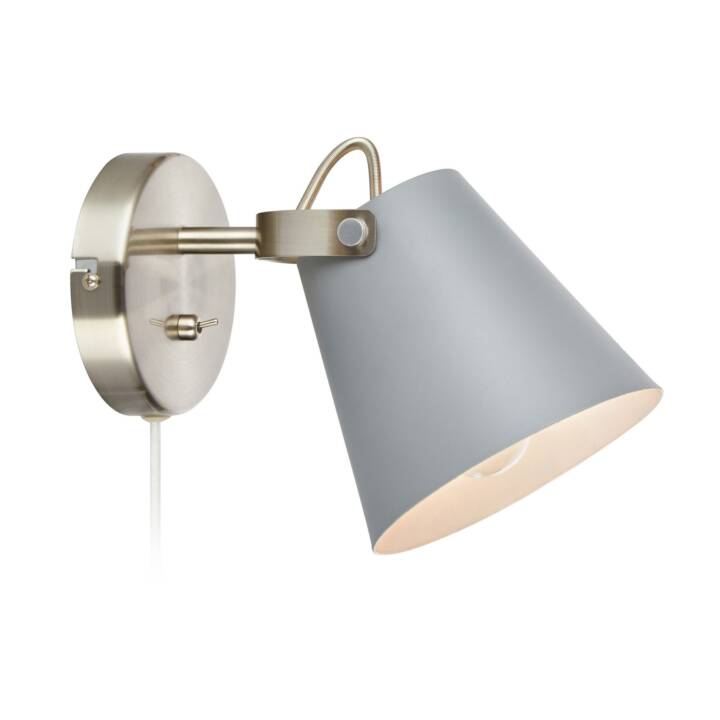 Wandleuchte (Edelstahl, Grau)