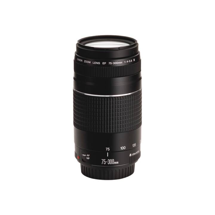 EF 75 - 300 mm f/4.0-5.6 III Import
