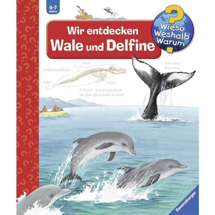 Wir entdecken Wale und Delfine
