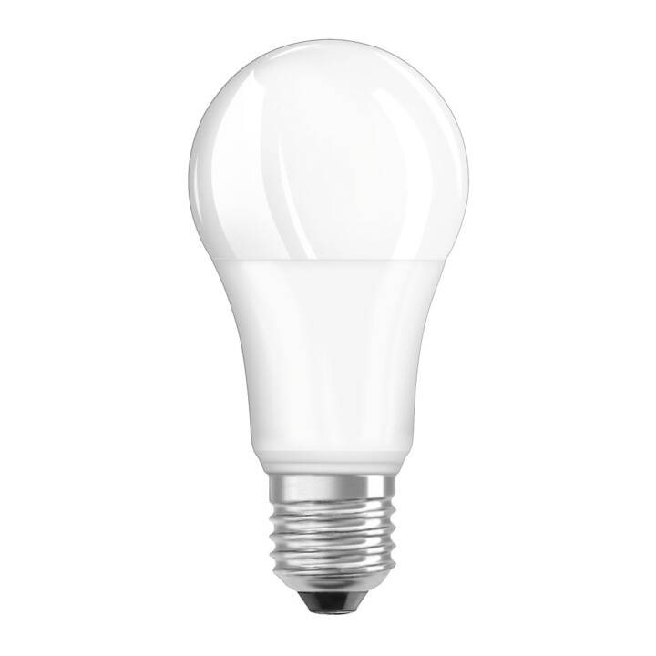 LED Birne (E27, 100 W)