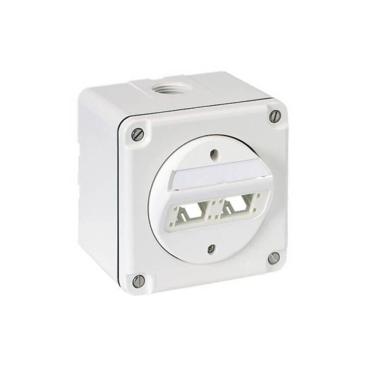 Dosen/Schalter (1 Stück)