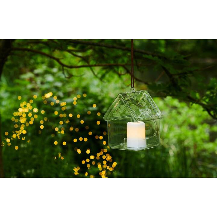 Holger Magnum Laterne (Transparent)