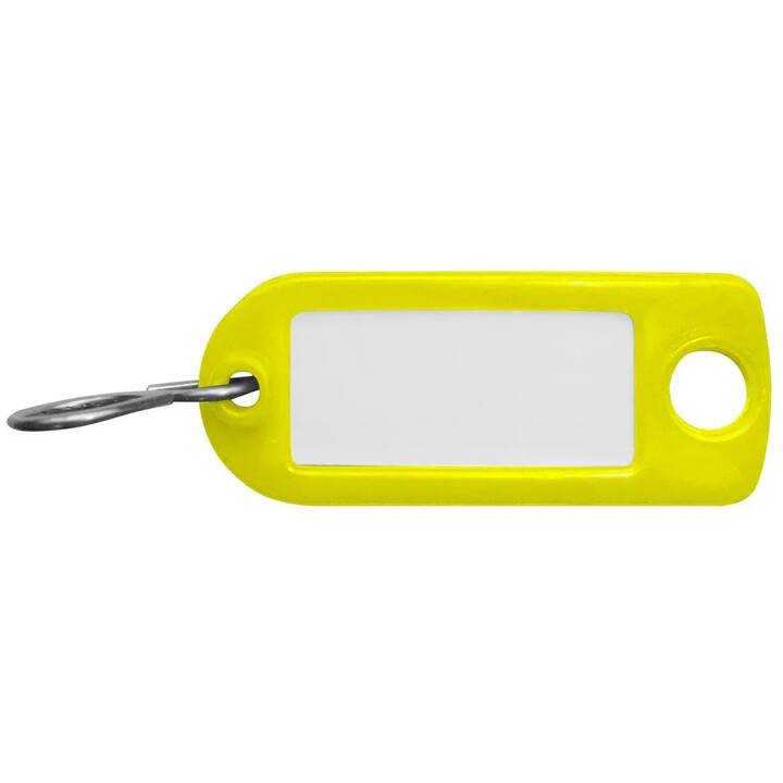 Schlüsselanhänger (100 Stück)