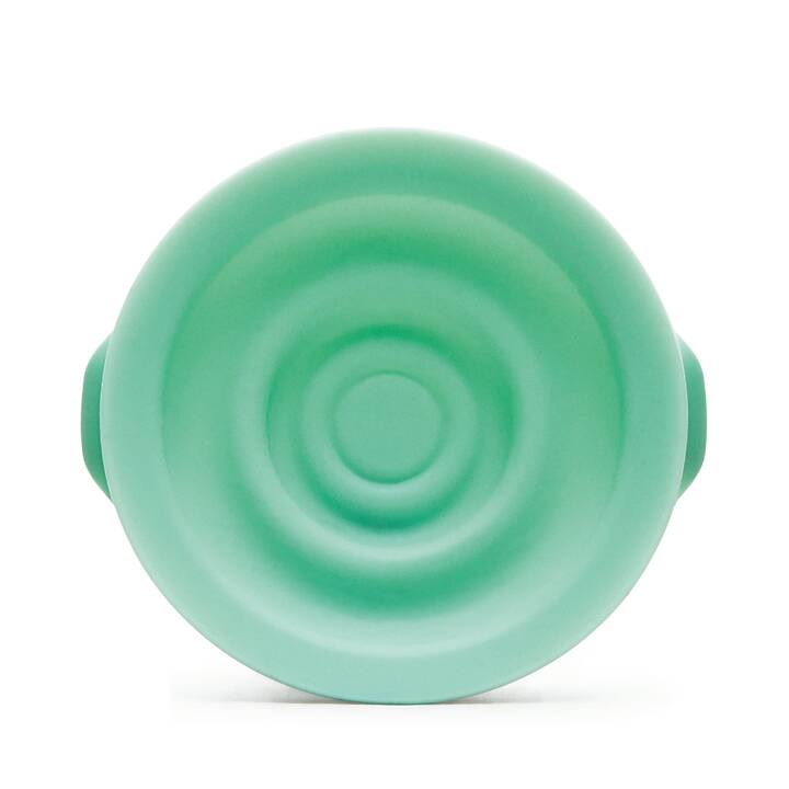 Pump Dichtung (2 Stück)