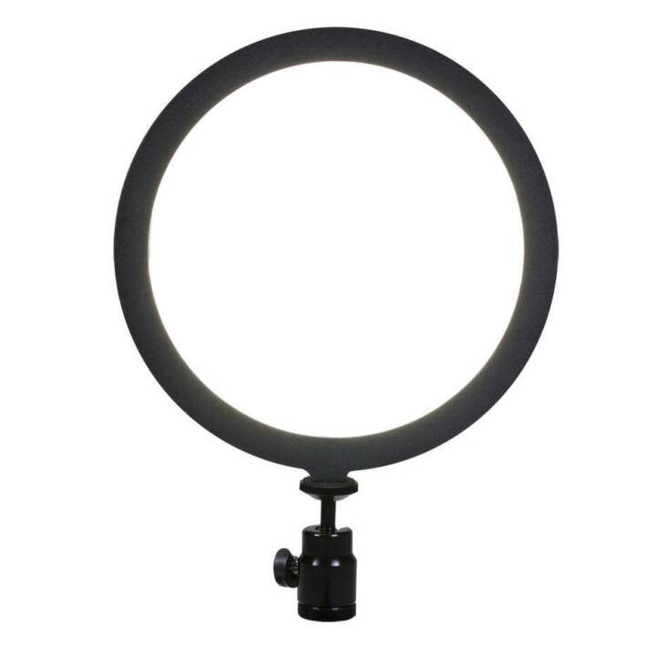 Videoleuchte Soft Light SL-300 LED