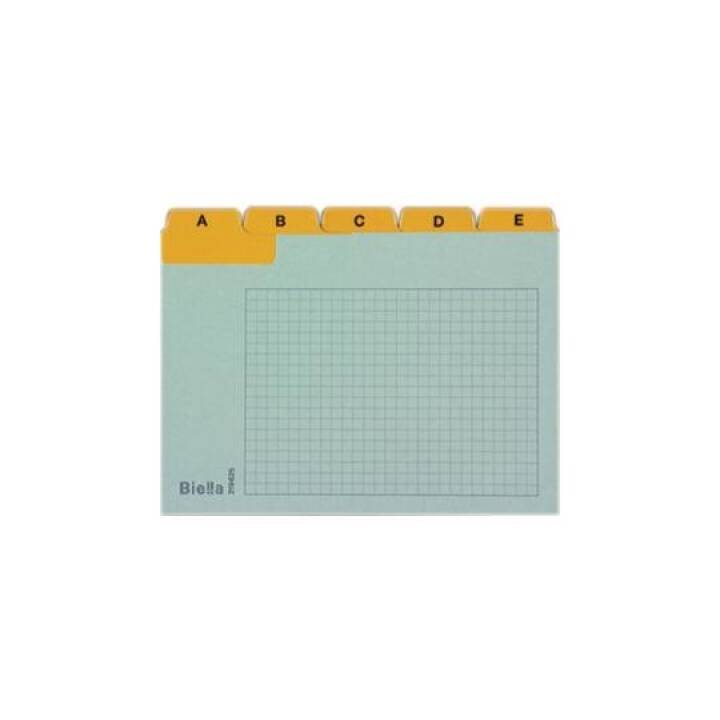 Leitkartenregister (A6, Gelb, Liniert, 25 Stück)