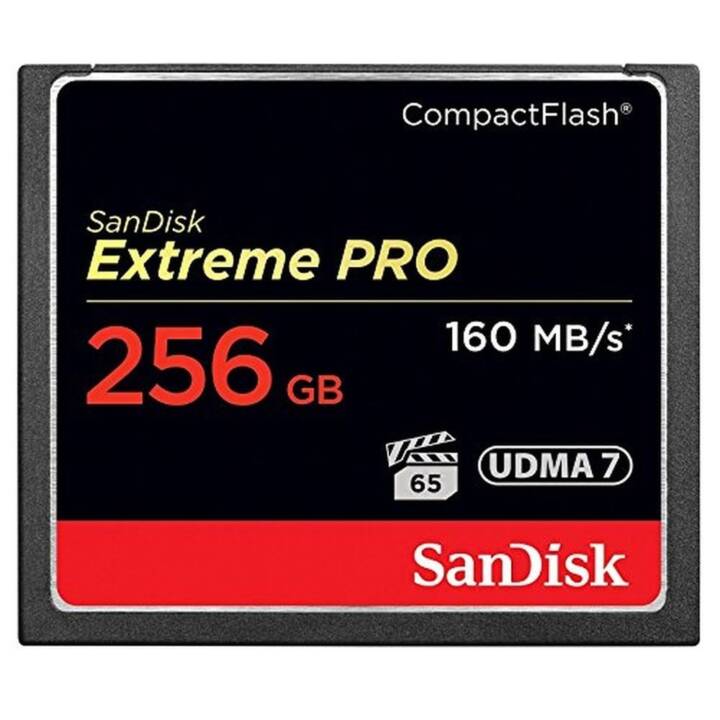 Extreme Pro Compact Flash 256 GB