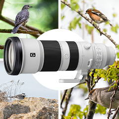 80x80_I25_SoMe_Blog_Sony_FE_400-800mm.jpg