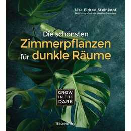 Grow in the Dark - Die schönsten Zimmerpflanzen für dunkle Räume