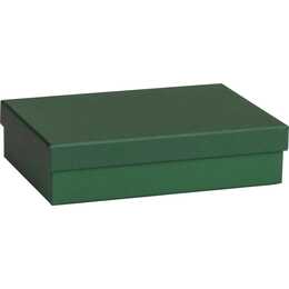 STEWO Geschenkbox (Grün)