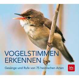 Vogelstimmen erkennen / CD