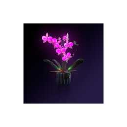 LIGHT MY BRICKS Orchid LED Licht Set (10311)