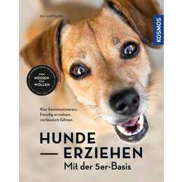 Hunde erziehen – mit der 5er-Basis