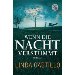 Wenn die Nacht verstummt / Kate Burkholder Bd.3