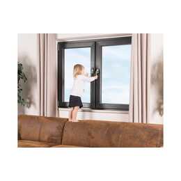 REER Fenstersicherung WinLock